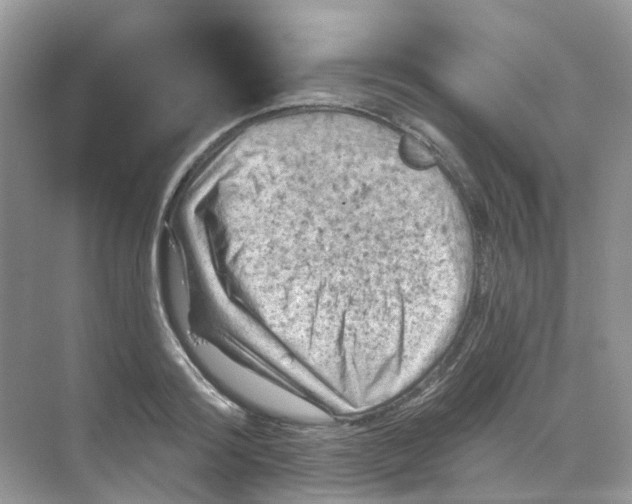 X0000068740796200605121542