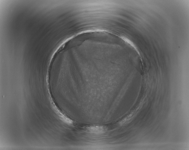 X0000068740797200605121542