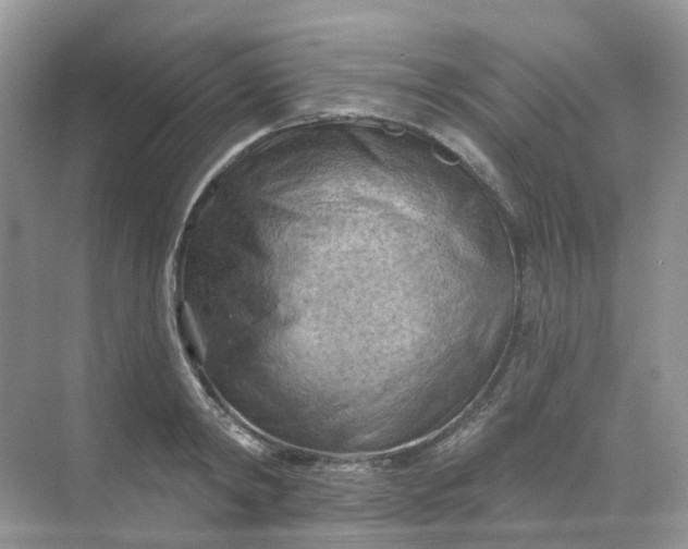 X0000068740798200605121542