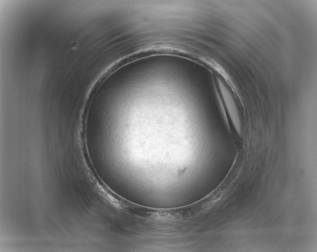 X0000068740799200605121542