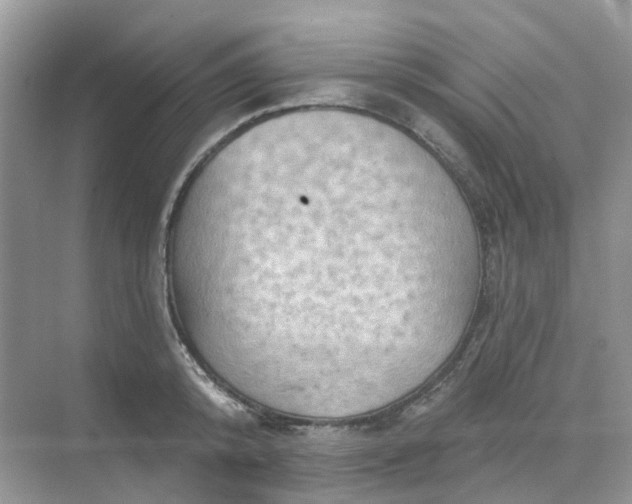 X0000068740800200605121542