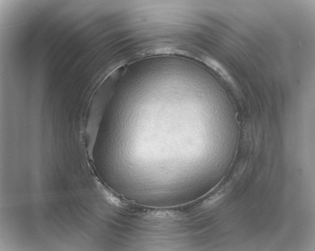 X0000068740801200605121542