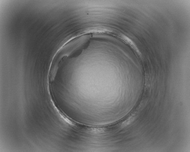 X0000068740802200605121542