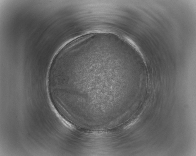 X0000068740803200605121542