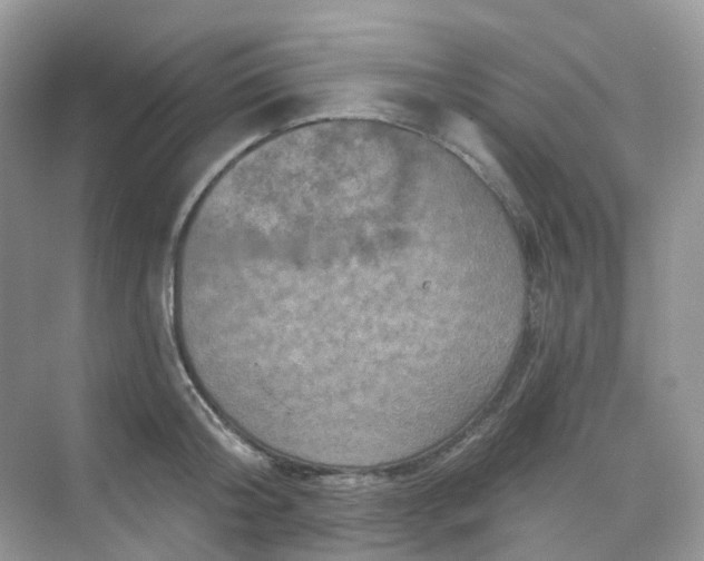 X0000068740804200605121542