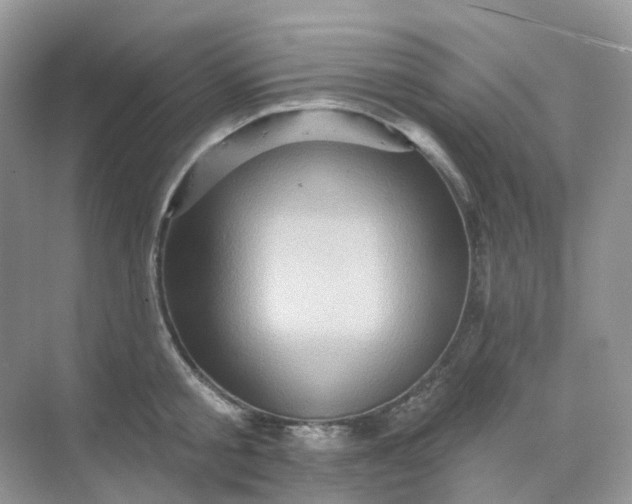 X0000068740805200605121542