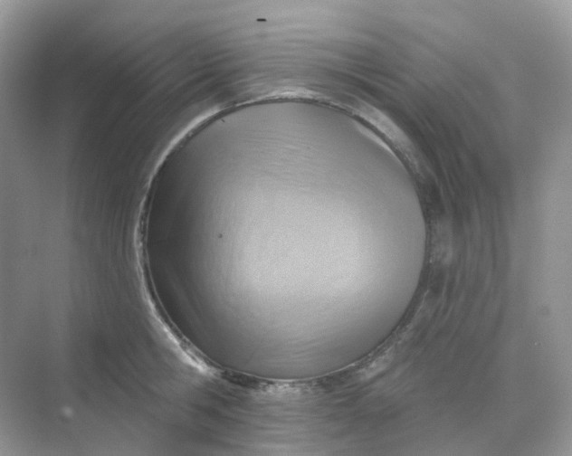 X0000068740806200605121542