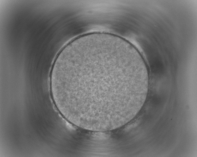 X0000068740807200605121542