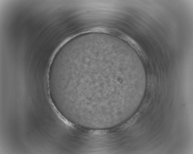 X0000068740808200605121542