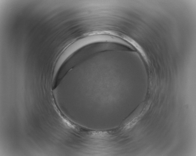 X0000068740809200605121542