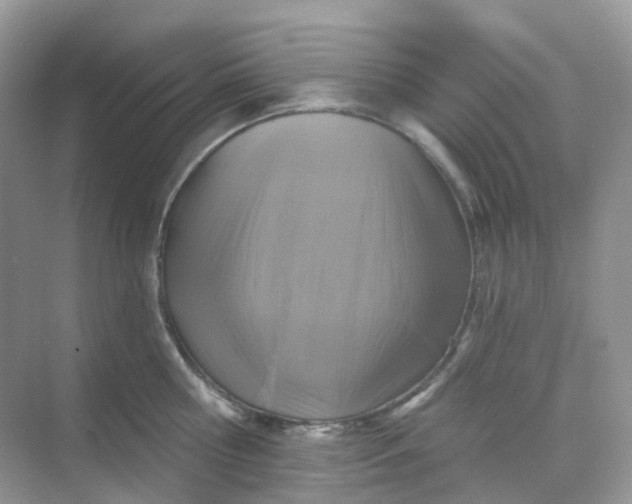 X0000068740810200605121542