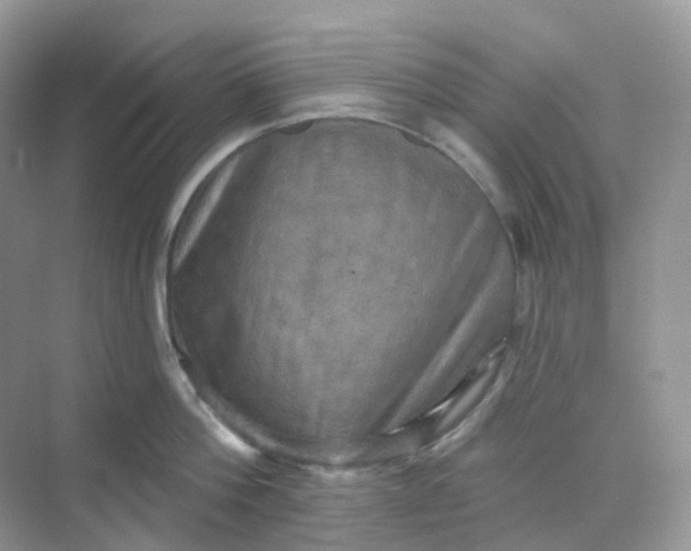 X0000068740812200605121542