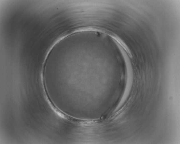 X0000068740813200605121542