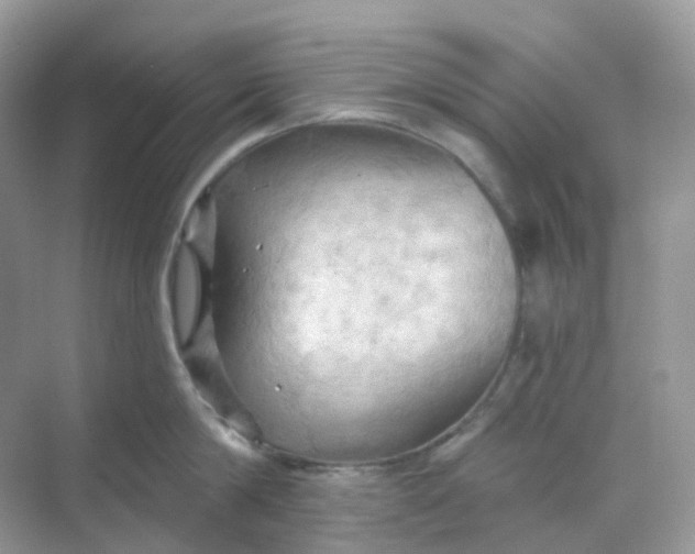 X0000068740814200605121542