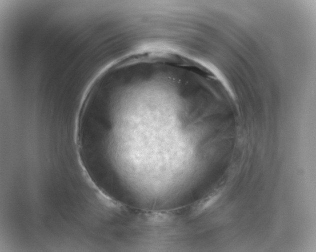 X0000068740815200605121542