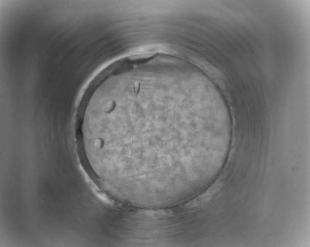 X0000068740816200605121542