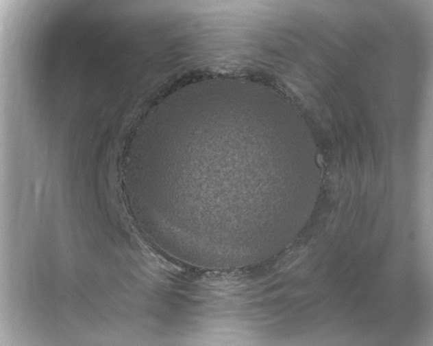 X0000068740817200605121541