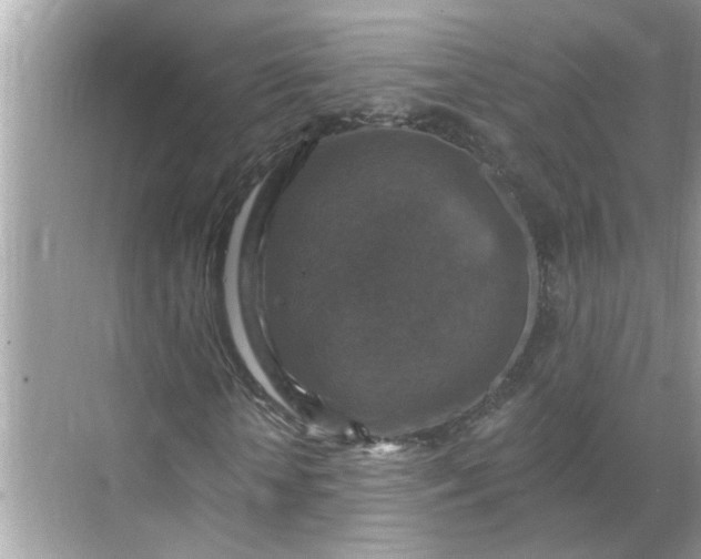 X0000068740818200605121541