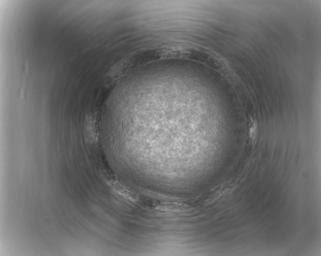 X0000068740819200605121541