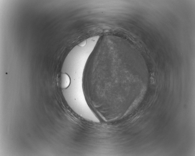 X0000068740820200605121541