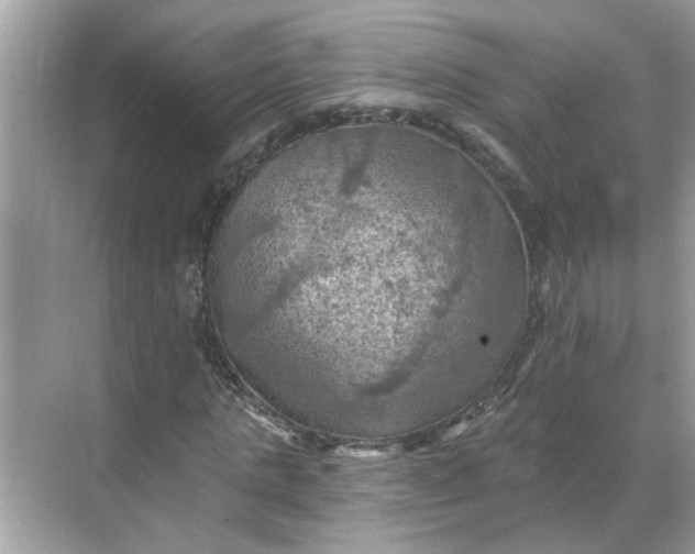 X0000068740821200605121541