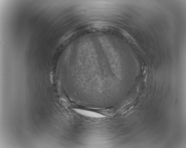 X0000068740822200605121541