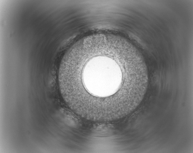 X0000068740824200605121541