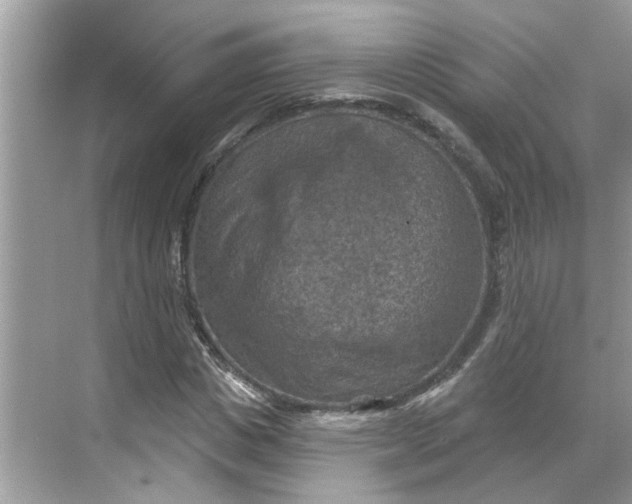 X0000068740825200605121541