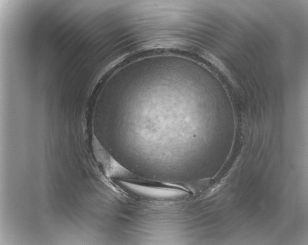 X0000068740826200605121541