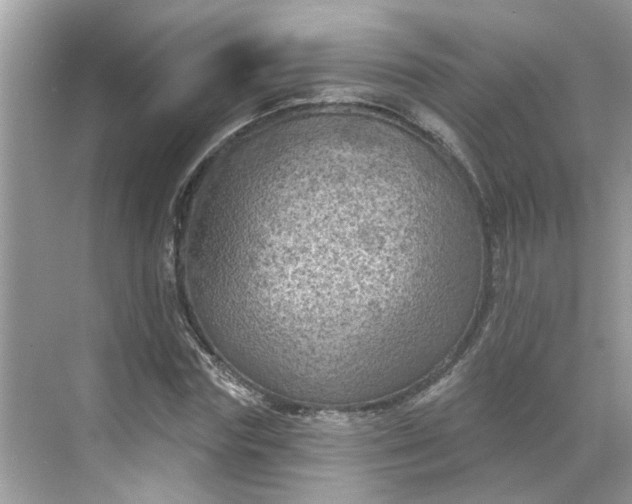 X0000068740827200605121541