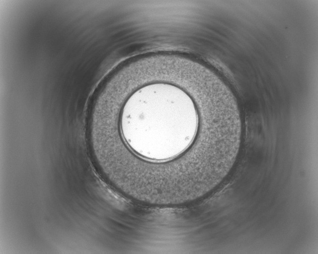 X0000068740828200605121541