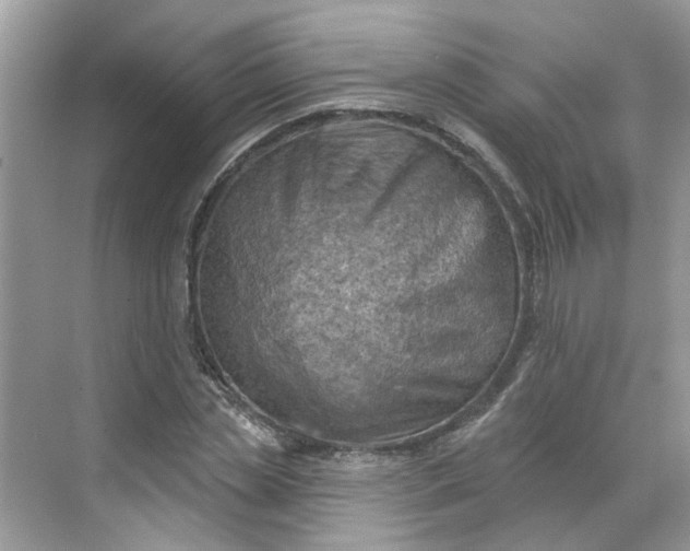 X0000068740829200605121541