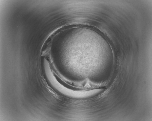 X0000068740830200605121541