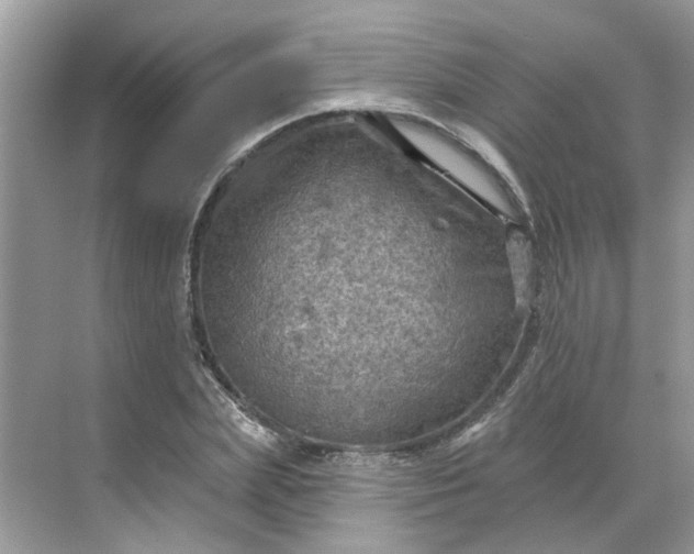 X0000068740831200605121541