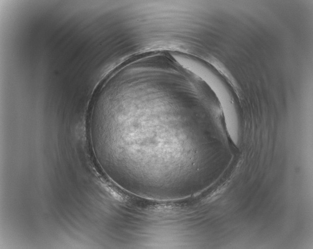 X0000068740834200605121542