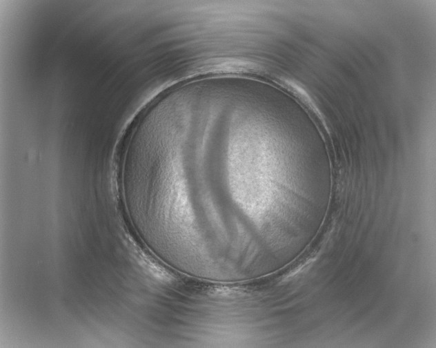 X0000068740835200605121542