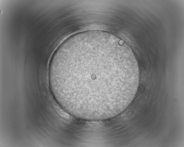 X0000068740836200605121542