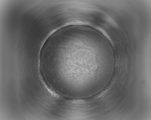 X0000068740837200605121542