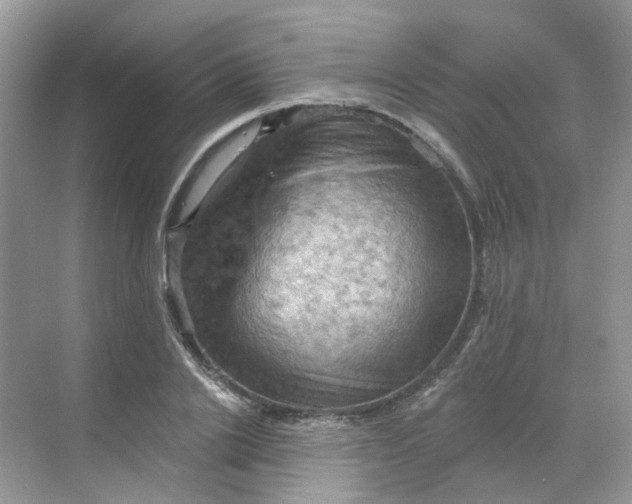 X0000068740838200605121542