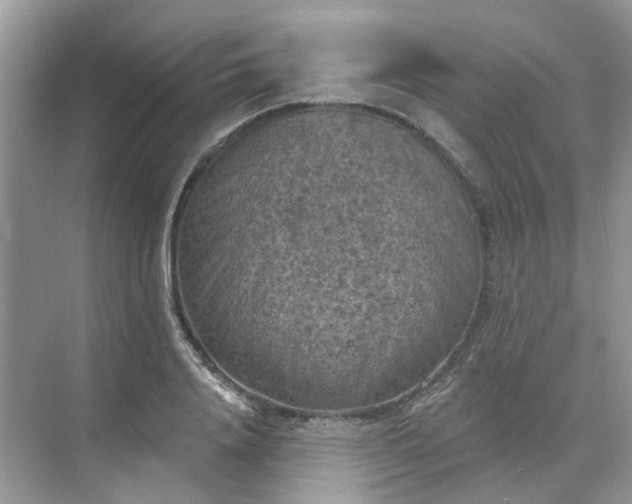 X0000068740840200605121542