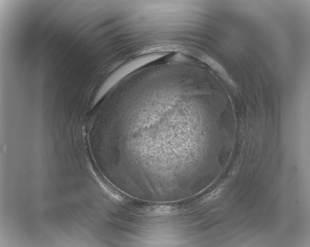 X0000068740841200605121542