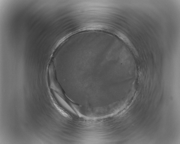 X0000068740842200605121542