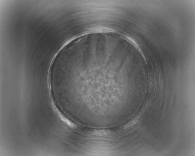 X0000068740843200605121542