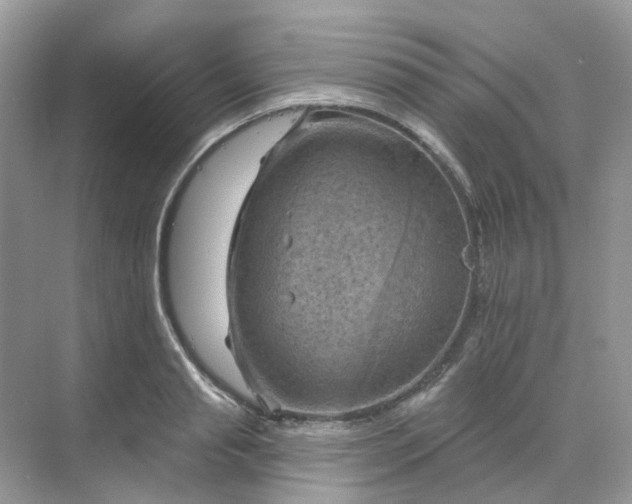 X0000068740845200605121542