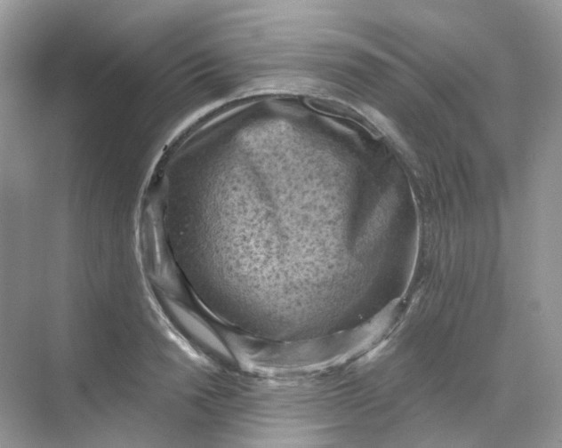 X0000068740846200605121542