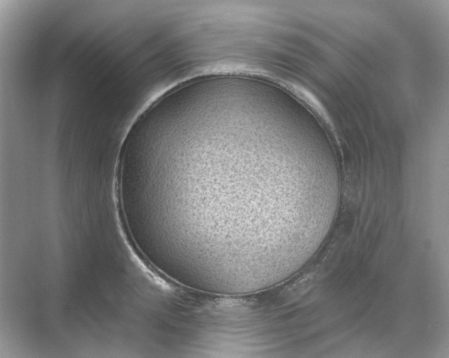 X0000068740847200605121542