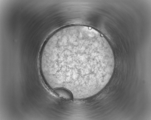 X0000068740848200605121542