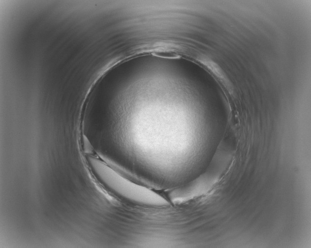 X0000068740850200605121542