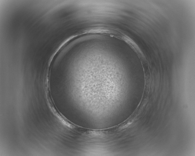 X0000068740852200605121542