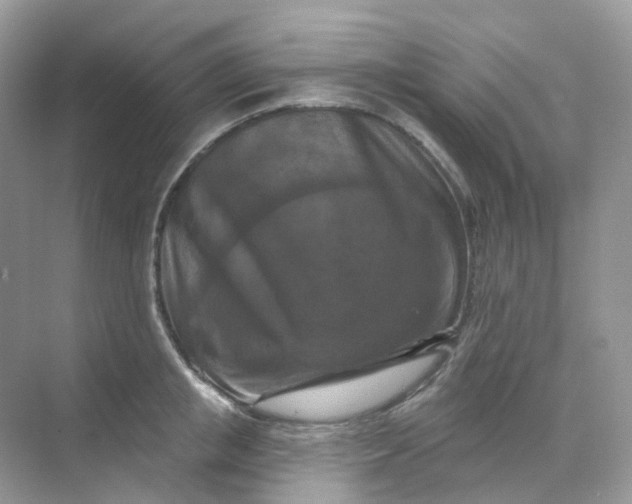 X0000068740853200605121542